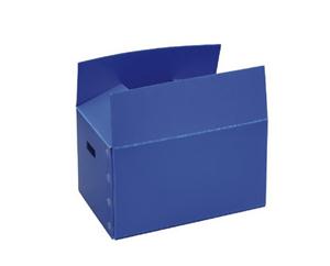 纸箱式塑料箱